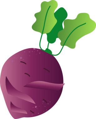Kohlrabi organik taze sebzeler.