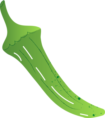 Tüm bamya organik taze sebzeler.