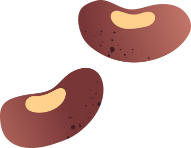 Tüm kırmızı fasulye organik sebzeler.