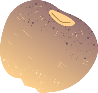 Tüm şalgam organik taze sebzeler.