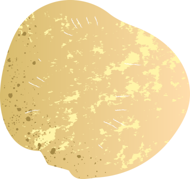 Tüm şalgam organik taze sebzeler.