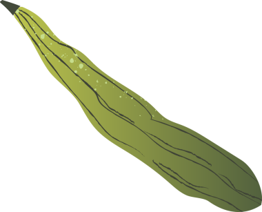 Tüm günah organik sebzelerde.