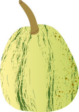 Tüm çizgili balkabağı organik sebzeler