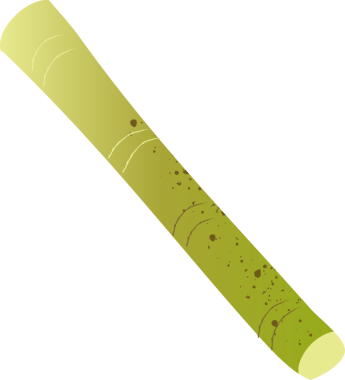 Tam şeker kamışı organik sebzeler