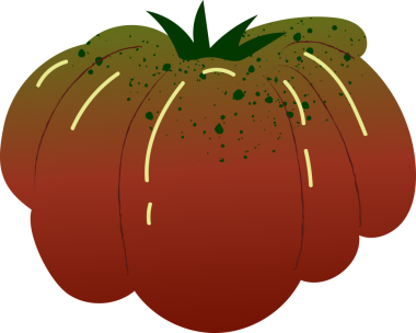 Tüm domates organik taze sebzeler.