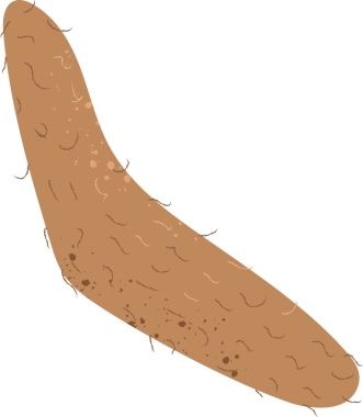 Yer elmasının tamamı organik taze sebzeler