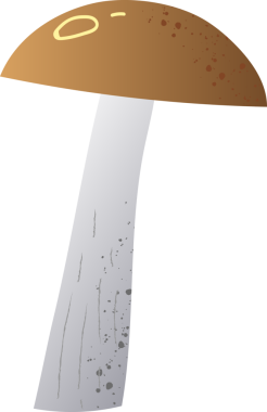 Bütün huş ağacı mantarı organik sebzeler