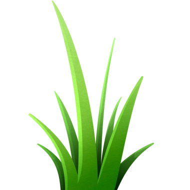 resimde yeşil çimen