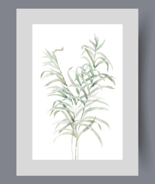 Doğal parktaki bitki ya da çalıların farklı bölgelerdeki bitki örtüleri duvar sanatında kullanılıyor. Suluboya sanat eseri. Yaz ağacından koparılmış çalı çırpı parçalarıyla poster için dekorla birlikte yazdır