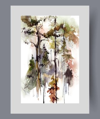 Yoğun köknar ağaçları ve sonbahar mevsiminden sonra yaprakları dökülen uzun ağaçlarla dolu yağmur ormanları. Doğa ve ormancılık hakkında kitap tasarımı için, kuzey ikliminde yağmur ormanları olan manzara