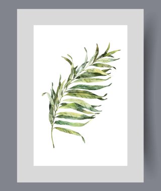 Duvar sanatında dikdörtgen yeşil yaprakları olan bir bitki karışımı. Suluboya sanat eseri. Güney adasından gelen bitki filizi ya da tropik palmiye taneleriyle güneşli okyanus kıyılarında poster dekoruyla birlikte basılmış.