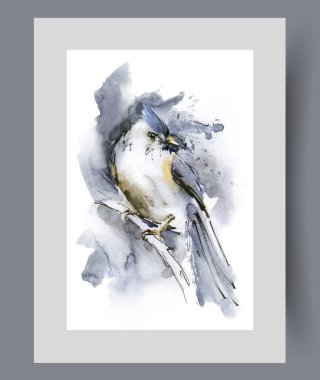 Kafasında uzun kuyruğu ve arması olan bir tarla kuşu baskılı ağaç dalında oturur. Suluboya poster. Güzel tarlakuşu ile sanat eserleri yemek ararken, çerçeve içinde duvar sanatı için dekor ararken.