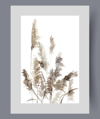 Kurak iklimde afişte yetişen Pampas otları ya da Cortaderia. Suluboya sanat eseri. Kurumuş çiçek yapmak için püsküllü otlu duvar sanatı, baskı için dekoru olan çerçevede