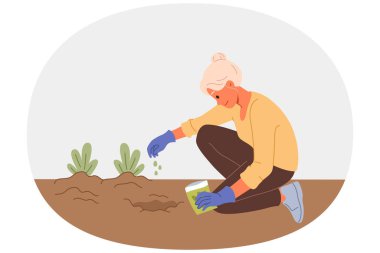 Yaşlı kadın toprağa tohum ekiyor, bahçeye ya da evin arka bahçesine çiçek ekiyor. Tohumları olan yaşlı kadın hobi olarak sebze yetiştirme işine giriyor ya da taze organik gıda alarak para biriktiriyor.