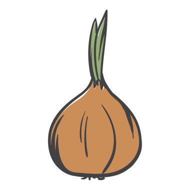 Soğan. Özet çizilmiş basit bir el çizimi simgesi. Yazdırma, çıkartma ve afiş için vektör illüstrasyonu. Vektör illüstrasyonu