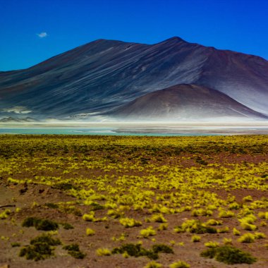 Salar de Aguas Calientes, Atacama Çölü 'ndeki en güzel deniz mekanlarından biri.