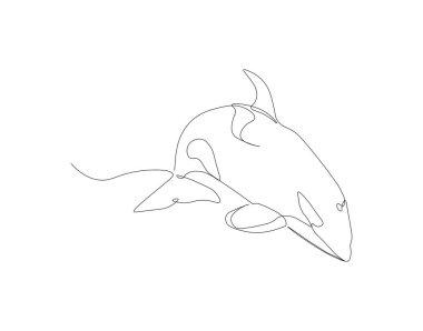 Orka balinası çizimleri devam ediyor. Bir sıra vahşi balina katili. Okyanus konsepti altında sürekli çizgi sanatı. Düzenlenebilir özet.