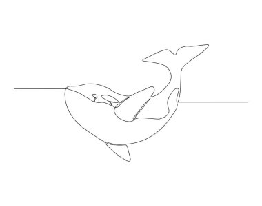 Orka balinası çizimleri devam ediyor. Bir sıra vahşi balina katili. Okyanus konsepti altında sürekli çizgi sanatı. Düzenlenebilir özet.