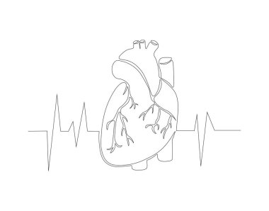 Sürekli bir insan kalp organı çizimi. Bir sıra anatomik insan kalbi. Tıbbi iç konsept sürekli çizgi sanatı. Düzenlenebilir özet.