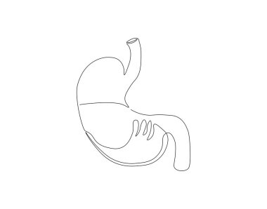 Anatomik insan midesi çizimleri devam ediyor. Bir sıra insan midesi. organlar vücut parçaları konsepti kesintisiz çizgi sanatı. Düzenlenebilir özet.