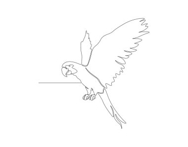 Sürekli papağan kuşu çizimi. Bir sıra papağan. Hava hayvanları sürekli çizgi sanatı kavramını benimsiyor. Düzenlenebilir özet.