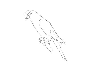 Sürekli papağan kuşu çizimi. Bir sıra papağan. Hava hayvanları sürekli çizgi sanatı kavramını benimsiyor. Düzenlenebilir özet.