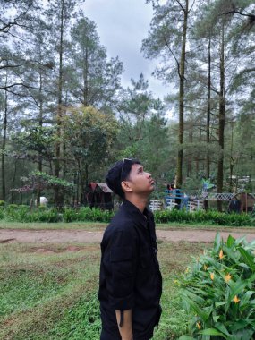 A young man in black casual outfit standing and looking up thoughtfully in a pine forest park with lush green plants.
