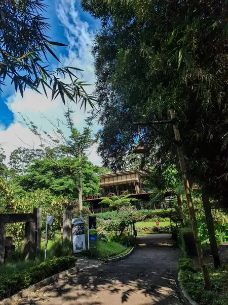 Dusun Bambu, Endonezya 'da Görkemli Park ve Bina Görünümleri: Bir Manzaralı İnziva