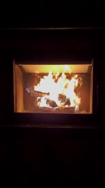 暗い部屋で暖炉を燃やす木材 — ストック動画