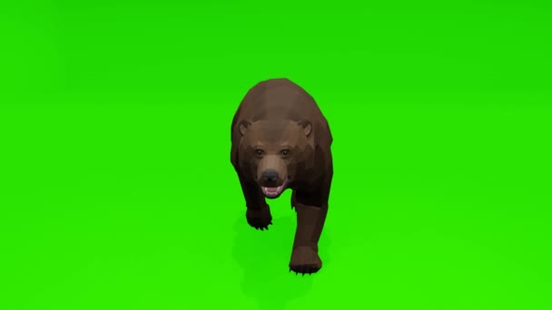 Imagens Hipnotizantes Urso Desenho Animado Brincalhão Correndo Elegantemente Contra Fundo — Vídeo de Stock