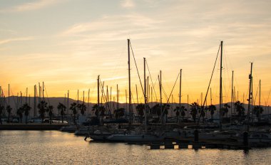 Marinada gün batımı, güneş düzinelerce yelkenlinin arasında batıyor. 