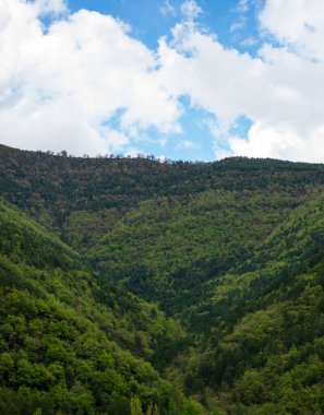 Aragonya Pireneleri 'nin dağları, tüm yeşilliklerde patlıyor, son buzlar nedeniyle, yaz yaklaşıyor..