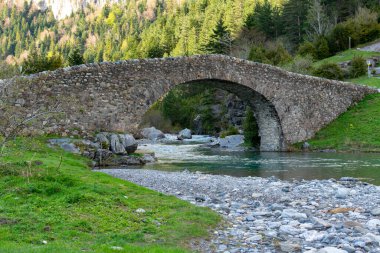 Roma zamanından kalma taş köprü Aragon Pireneleri 'nin dağlarındaki bu nehri çerçeveliyor..