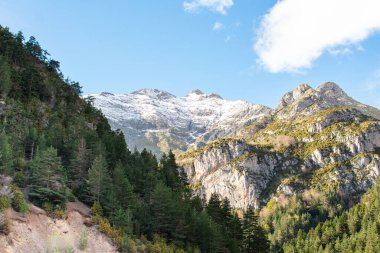 Erime sürecinin son aşamasında aragon pirenelerinin görüntüsü. 