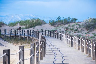 Aile sahilde yürümek