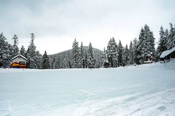 Kış dağlarında buz pateni pisti