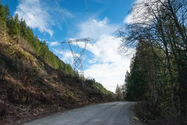 Ormanda ve iletişim kulesinde yol
