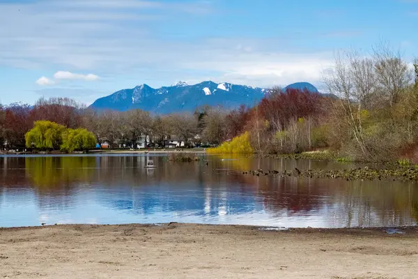 Blue Sky Park 'taki gölün manzara fotoğrafı.