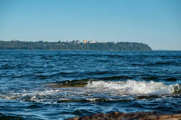 Denizin kayalık kıyısı, dalgalar ona çarpıyor ve orman uzaklaşıyor.