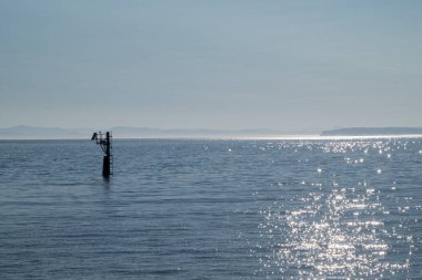 Sabah ışığında güzel bir deniz manzarası. Deniz ve gökyüzü.