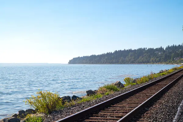 Kanada 'nın deniz kıyısındaki tren rayları.