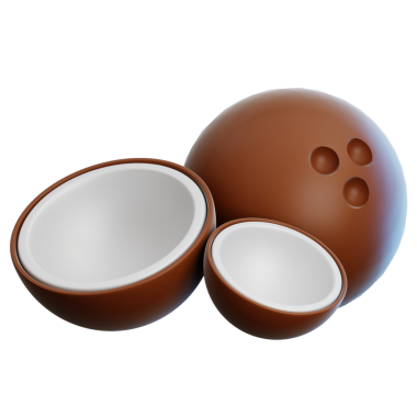 Web, uygulama, bilgi vs. için hindistan cevizi 3d illüstrasyonuName