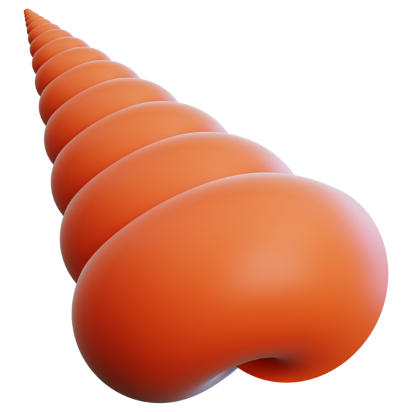 Web, uygulama, bilgi vs. için deniz kabuğu 3d illüstrasyonuName