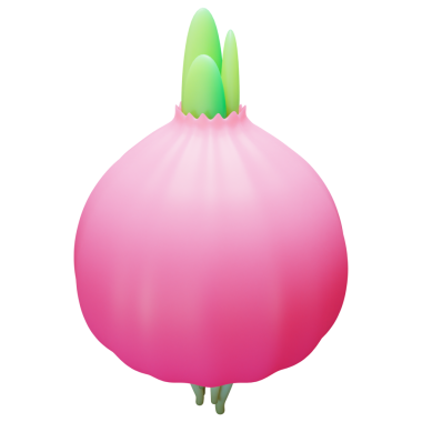 Soğan 3D Görüntü Beyaz Arkaplanda İzole Edildi