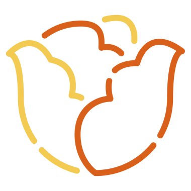 Lahana Simgesi, Beyaz Arkaplanda Basit Vektör İllüstrasyonu