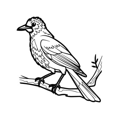 Çocuklar için Uçan Saksağan Kuş. Boyama kitabı. Kuş vektörü çizimi. Magpie renklendirme sayfaları
