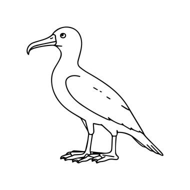 Albatros boyama sayfaları. Boyama kitabı için albatros özeti