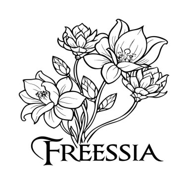 Freesia Çiçek Rengi Sayfası. Boyama kitabı için çiçek taslağı. Freesia Elysium çizgisi sanatı