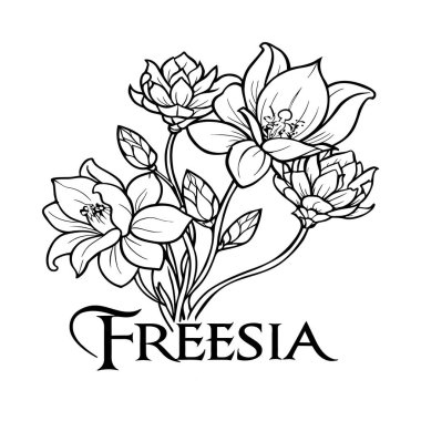 Freesia Çiçek Rengi Sayfası. Boyama kitabı için çiçek taslağı. Freesia Elysium çizgisi sanatı