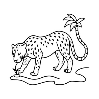 Boyama kitabı için leopar çizimi. Leopar çizgisi. Hayvan boyama sayfaları